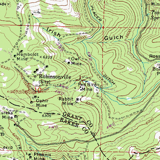 Topographic Map of Red Bird Mine, OR