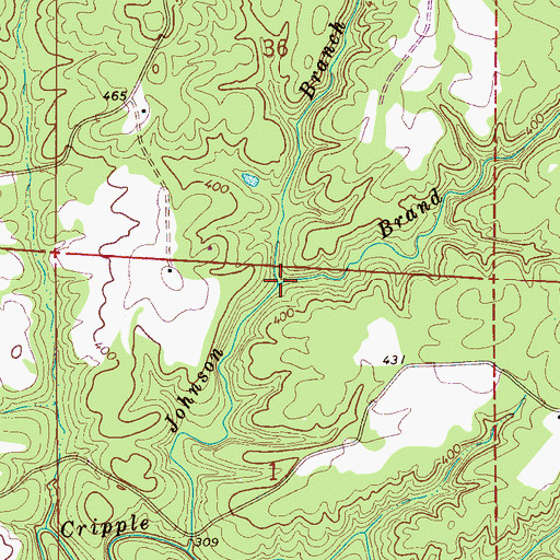 Topographic Map of Brand Branch, AL