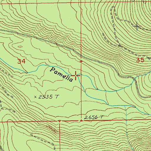 Topographic Map of Red Creek, OR