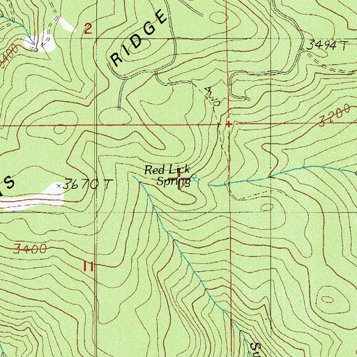 Topographic Map of Red Lick Spring, OR