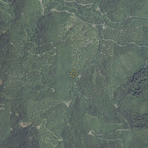 Aerial/Satellite Image of Redjacket Mine, OR