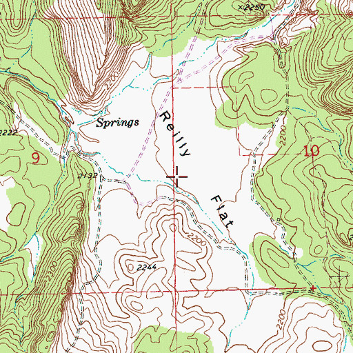 Topographic Map of Reilly Flat, OR