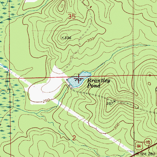 Topographic Map of Brantley Pond, AL