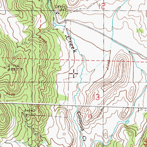 Topographic Map of Ricks Creek, OR