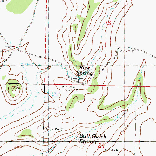 Topographic Map of Rice Spring, OR