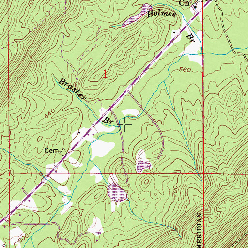 Topographic Map of Brasher Branch, AL