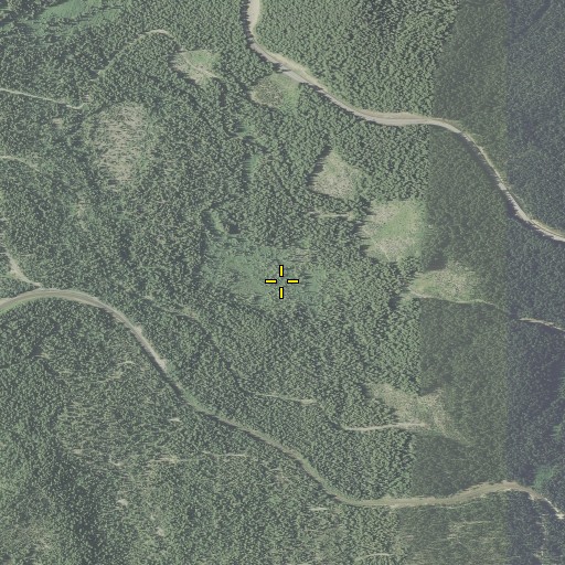 Aerial/Satellite Image of Riggs Meadow, OR