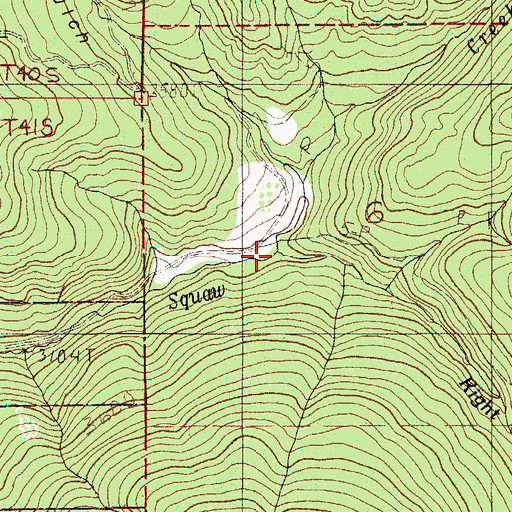 Topographic Map of Right Fork Squaw Creek, OR