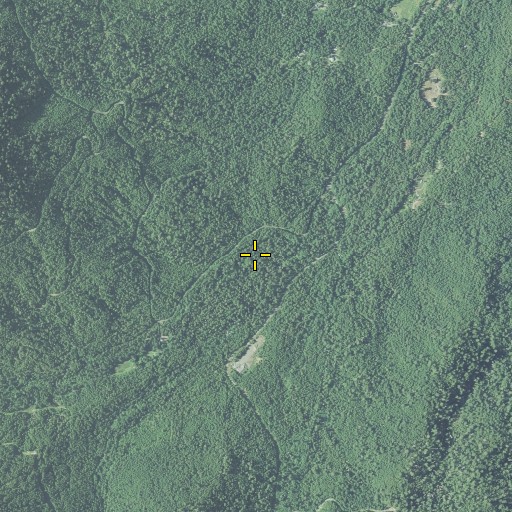 Aerial/Satellite Image of Right Hand Fork Rock Creek, OR