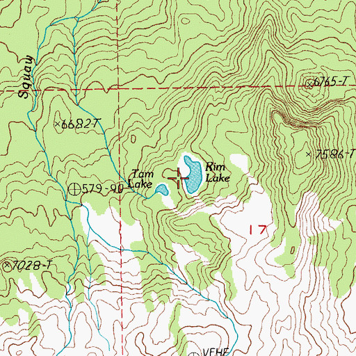 Topographic Map of Rim Lake, OR