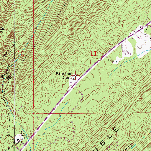 Topographic Map of Brasher Cemetery, AL