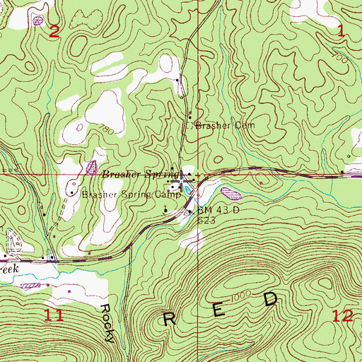 Topographic Map of Brasher Spring, AL