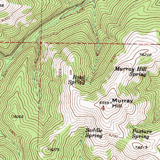 Topographic Map of Road Spring, OR