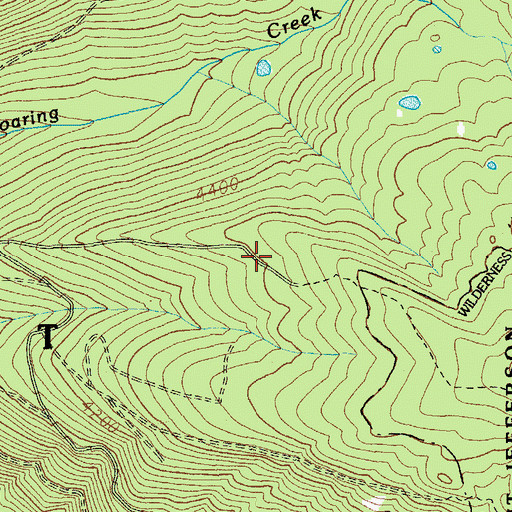 Topographic Map of Roaring Creek Trail, OR