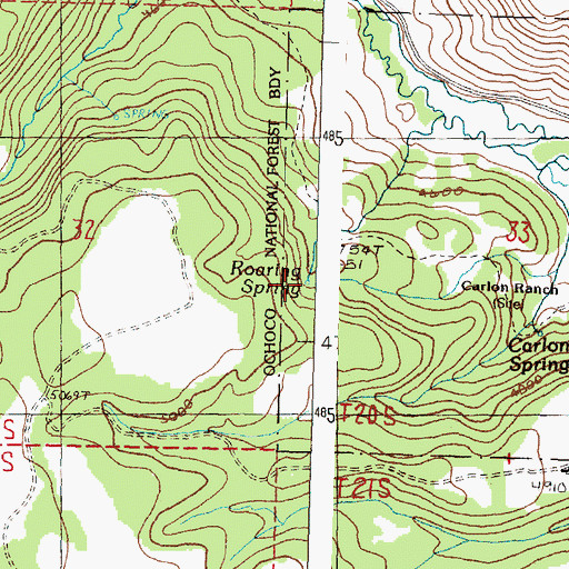 Topographic Map of Roaring Spring, OR