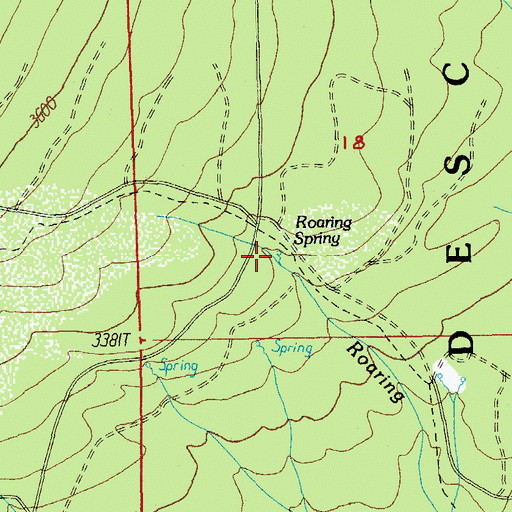 Topographic Map of Roaring Spring, OR