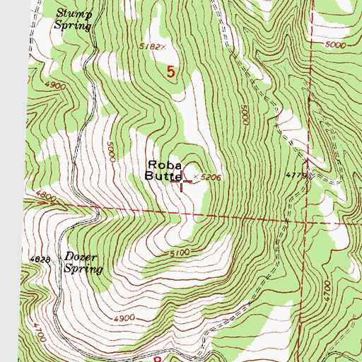 Topographic Map of Roba Butte, OR