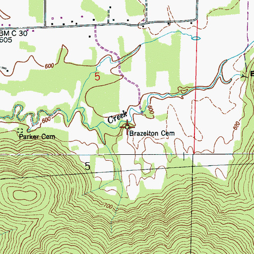 Topographic Map of Brazelton Cemetery, AL