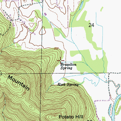 Topographic Map of Brazelton Spring, AL