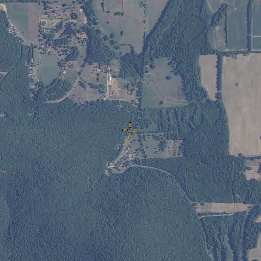 Aerial/Satellite Image of Brazelton Spring, AL