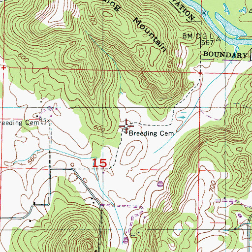 Topographic Map of Breeding Cemetery, AL