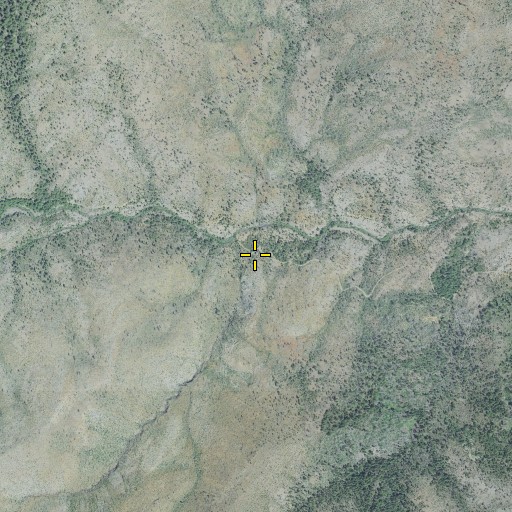 Aerial/Satellite Image of Rocky Bar Gulch, OR