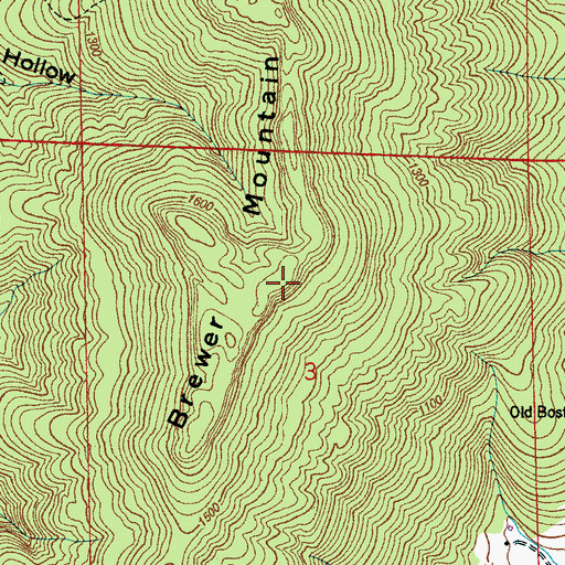 Topographic Map of Brewer Mountain, AL