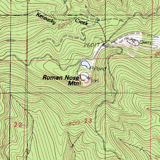 Topographic Map of Roman Nose Mountain, OR