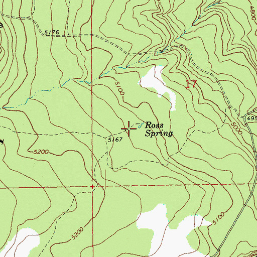 Topographic Map of Ross Spring, OR