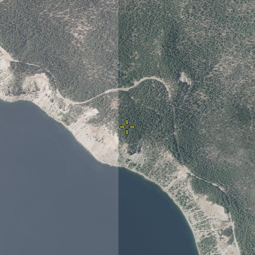 Aerial/Satellite Image of Roundtop, OR