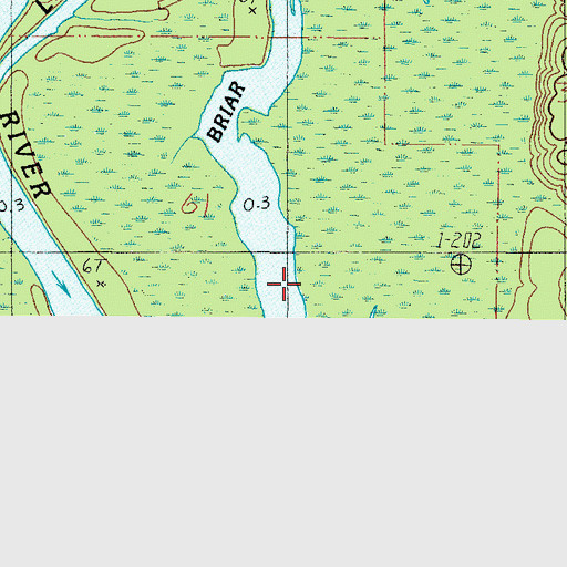 Topographic Map of Briar Lake, AL