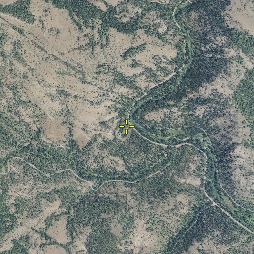 Aerial/Satellite Image of Roys Spring, OR