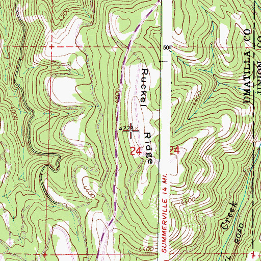 Topographic Map of Ruckel Ridge, OR