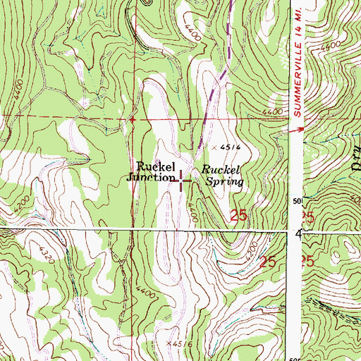 Topographic Map of Ruckel Spring, OR