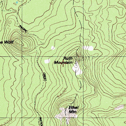 Topographic Map of Ruth Mountain, OR