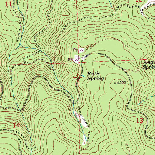 Topographic Map of Ruth Spring, OR