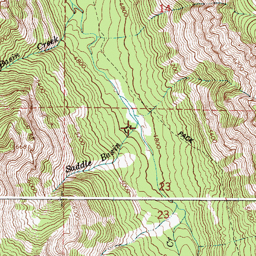Topographic Map of Saddle Basin Creek, OR