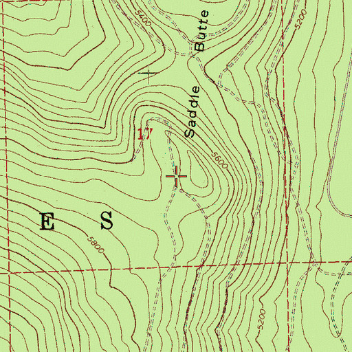 Topographic Map of Saddle Butte, OR