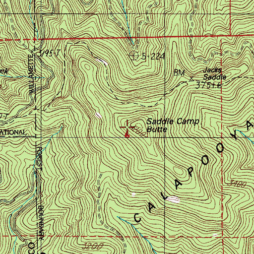 Topographic Map of Saddle Camp Butte, OR