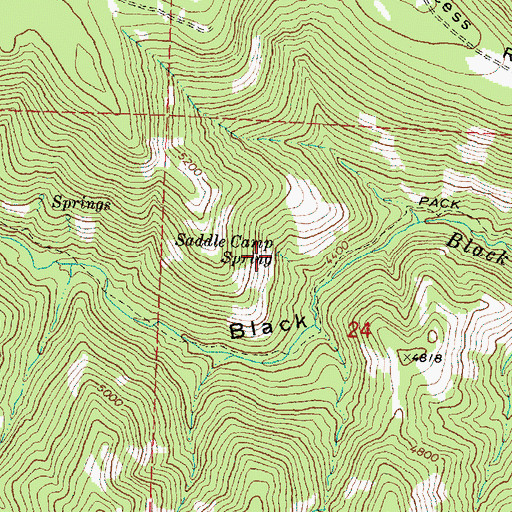Topographic Map of Saddle Camp Spring, OR