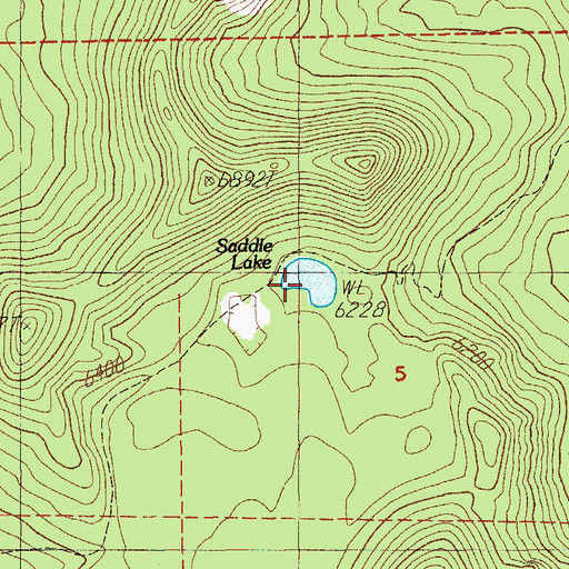 Topographic Map of Saddle Lake, OR