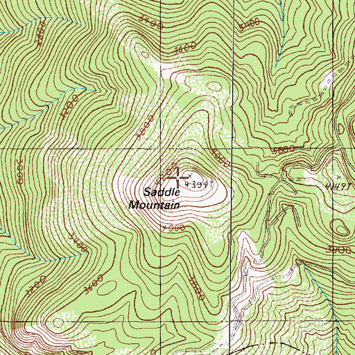 Topographic Map of Saddle Mountain, OR