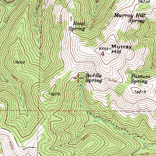 Topographic Map of Saddle Spring, OR