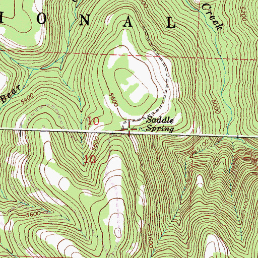 Topographic Map of Saddle Spring, OR