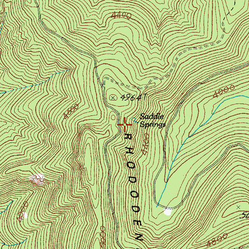 Topographic Map of Saddle Springs, OR