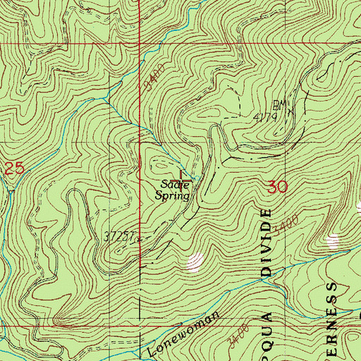 Topographic Map of Sadie Spring, OR
