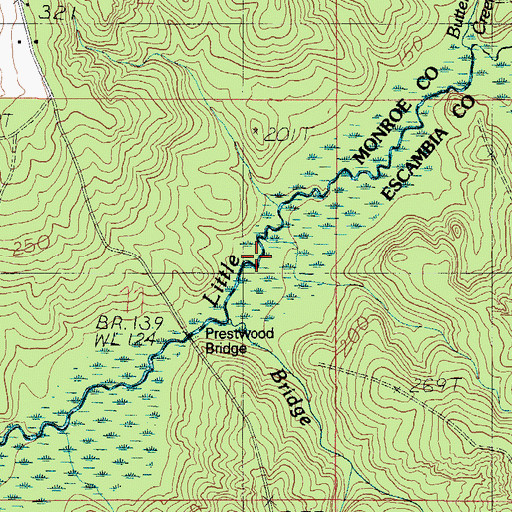Topographic Map of Bridge Branch, AL