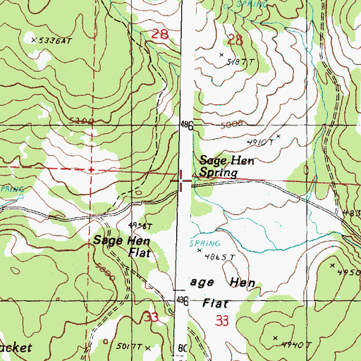 Topographic Map of Sage Hen Spring, OR
