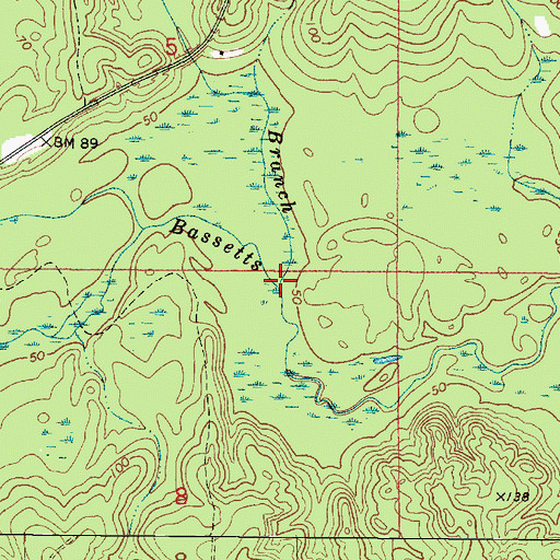 Topographic Map of Bridge Branch, AL