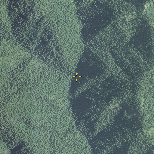 Aerial/Satellite Image of Saint Peter Creek, OR